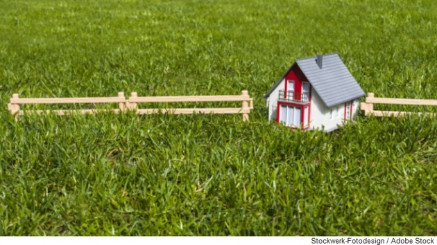 Dekorative
		  Grafik